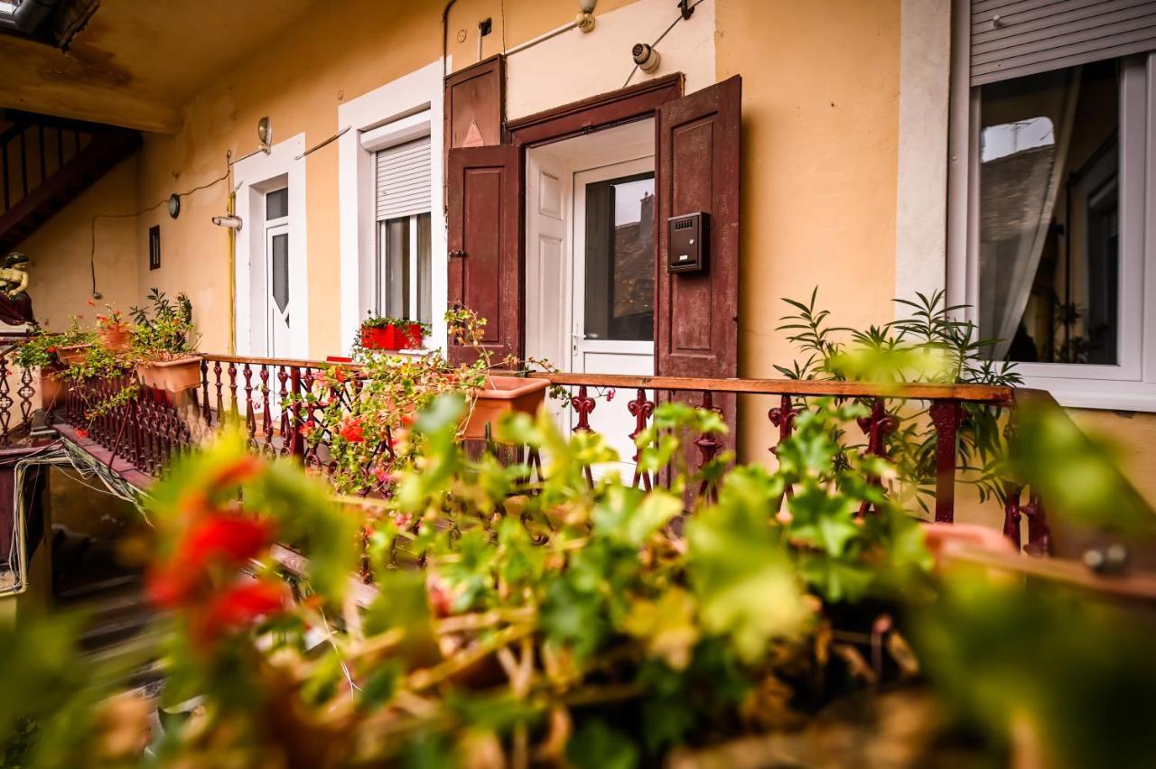 Jules' Sunny, Spacious And Central Apartment Сибиу Экстерьер фото